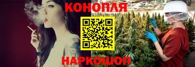 шишки Моздок