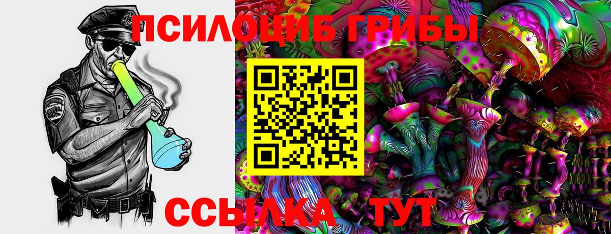 Галлюциногенные грибы Cubensis  Вход с VPN  Зеленодольск  Галлюциногенные грибы мухоморы 