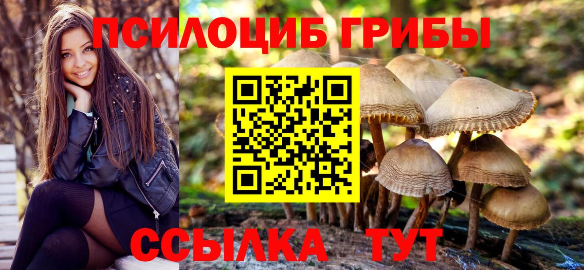 Галлюциногенные грибы MAGIC MUSHROOMS Зеленодольск
